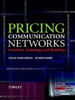 Pricing Communication Networks