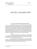 Bài tiểu luận môn thuế