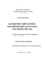 54 Giải pháp phát triển sản phẩm ngoại hối phát sinh tại Ngân hàng Công thương Việt Nam 