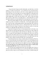 50 Kế toán hàng hoá, tiêu thụ hàng hoá và xác định kết quả tiêu thụ tại Công ty cổ phần quảng cáo thương mại Đất Việt (78 tr)