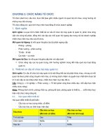 Chức năng tổ chức