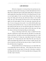 Công ty cổ phần Pin Hà Nội