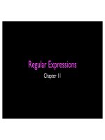 11-Regulation expression