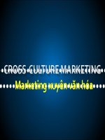 Marketing xuyên văn hóa