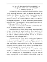 Giải thích biểu cảm cam kết cụ thể về thương maị dich vụ