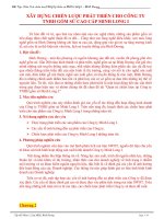 XÂY DỰNG CHIẾN LƯỢC PHÁT TRIỂN CHO CÔNG TY TNHH GỐM SỨ CAO CẤP MINH LONG I