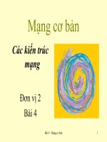 Mạng cơ bản, kiến trúc mạng