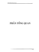 Tổng quan ,về thành phần hóa học cây nhân hột cây thông thiên