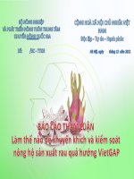 Làm thế nào để khuyến khích và kiểm soát nông hộ sản xuất rau quả