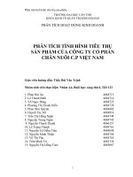 Phân tích tình hình tiêu thụ sản phẩm của công ty cổ phần chăn nuôi C.P Việt Nam