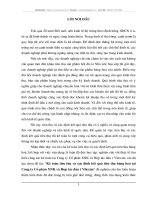 kế toán tiêu thụ và xác định kết quả tiêu thụ hàng hóa tại công ty cổ phần XNK và hợp tác đầu tư Vilexim