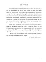 Vấn đề tiền lương trong các doanh nghiệp Nhà nước ở Việt Nam hiện nay".