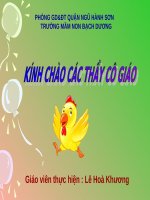 Bé và các con vật nuôi
