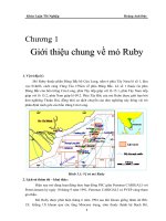 Giới thiệu chung về mỏ Ruby