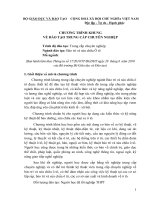 Chương trình khung về đào tạo trung cấp chuyên nghiệp