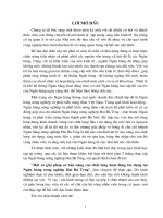 4 Một số giải pháp cơ bản nâng cao chất lượng hoạt động tín dụng tại Ngân hàng nông nghiệp Hai Bà Trưng