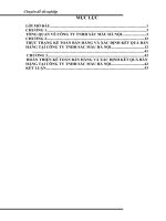 Hoàn thiện kế toán bán hàng và xác định kết quả bán hàng tại  Công ty TNHH Sắc Màu Hà Nội