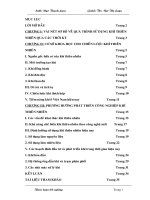 Định hướng sử dụng khí và quá trình phát triển công nghiệp khí ở các thềm lục địa Việt Nam