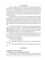 Thực trạng và giải pháp thúc đẩy xuất khẩu hàng dệt may Việt Nam