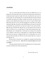 hạn chế rủi ro trong hoạt động cho vay của các ngân hàng thương mại