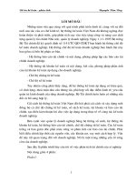 225 Lập bảng cân đối và phân tích tình hình tài chính của doanh nghiệp (80tr)