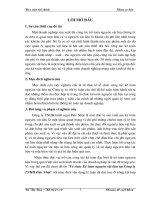 194 Tổ chức kế toán nguyên vật liệu tại Công ty TNHH Đức Nhật