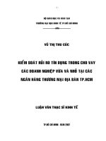 396 Kiểm soát rủi ro tín dụng trong cho vay các doanh nghiệp vừa và nhỏ tại các Ngân hàng Thương mại địa bàn TP.HCM