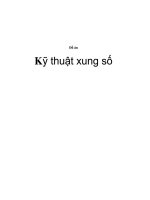 Kỹ thuật xung số