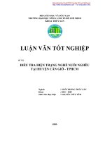 Điều tra thực trạng nghề nuôi nghêu