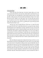 561 Quản lý ngân sách cấp xã tại tỉnh Lâm Đồng