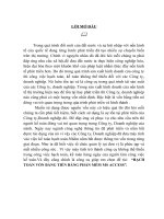 Hạch toán vốn bằng tiền bằng phần mềm MS Access