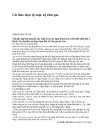 Các thảo dược lợi mật