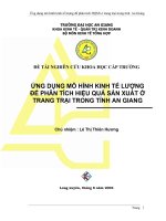 232 Ứng dụng mô hình kinh tế lượng đê phân tích hiệu quả sản xuất ở trang trại trong tỉnh An Giang