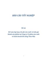 Kế toán tập hợp chi phí sản xuất và tính giá thành sản phẩm tại Công ty Cổ phần sản xuất và kinh doanh đồ uống Thảo Mộc