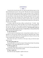 Kế toán tập hợp chi phí sản xuất và tính giá thành sản phẩm tại Công ty Cổ phần Đầu tư và Sản xuất Giày Thái Bình