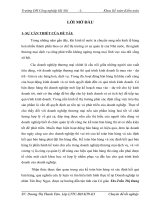 Chuyên đề TN (Dương Thị Thanh Tâm) (3)