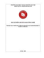 THỰC TRẠNG PHÁT TRIỂN VÀ GIẢI PHÁP CHO THƯƠNG MẠI ĐIỆN TỬ Ở NƯỚC TA HIỆN NAY.