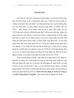 Phát triển hoạt động tự doanh tại công ty cổ phần chứng khoán Việt Quốc