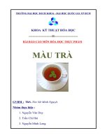 Nghiên cứu sự phát triển của hệ sợi nấm Hương (Lentinula edodes) trong môi trường nuôi cấy lỏng