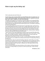 Hành củ ngừa ung thư đường ruột