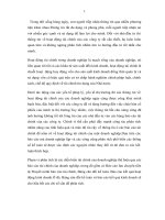 PHÂN TÍCH TÌNH HÌNH TÀI CHÍNH CỦA CÔNG TY CỔ PHẦN TẬP ĐOÀN TƯ VẤN ĐẦU TƯ XÂY DỰNG AN CƯ