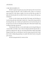 Thị trường nhà đất Hà Nội