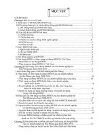 bảo hiểm xã hội thành phố Hải Phòng