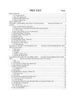 44 Kế toán nghiệp vụ thanh toán không dùng tiền mặt tại NHNT An Giang