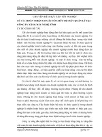 HOÀN THIỆN CƠ CẤU TỔ CHỨC BỘ MÁY QUẢN LÝ TẠI CÔNG TY XĂNG DẦU NGHỆ TĨNH