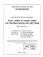 134 Phát triển và hoàn thiện thị trường ngoại hối Việt Nam