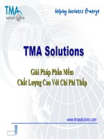 TMA_Presentation_VN