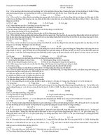 -thi-thu-30-can-den-tinh-song-as.thuvienvatly.com.6c4e7.33365