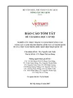 NGHIÊN CỨU THỰC TRẠNG VÀ GIẢI PHÁP NÂNG CAO  NĂNG LỰC CẠNH TRANH TRONG LĨNH VỰC LỮ HÀNH QUỐC TẾ CỦA VIỆT NAM TRONG ĐIỀU KIỆN HỘI NHẬP QUỐC TẾ