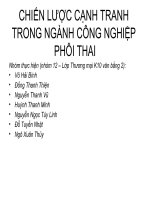 Chiến lược cạnh tranh trong ngành công nghiệp phôi thai